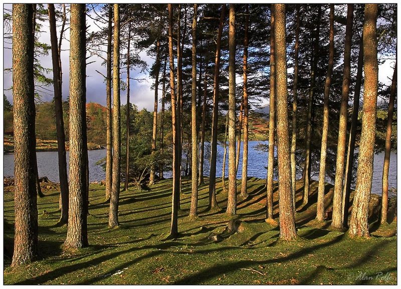 Tarn Hows