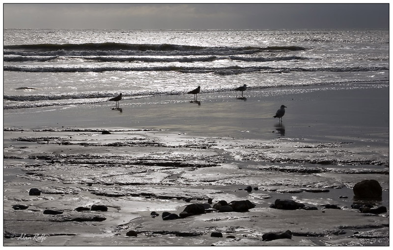 Morning on the beach