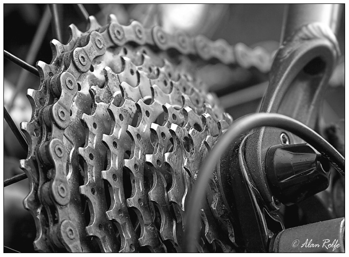Cogs