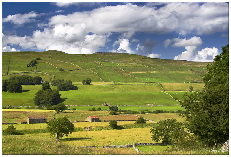 Wensleydale