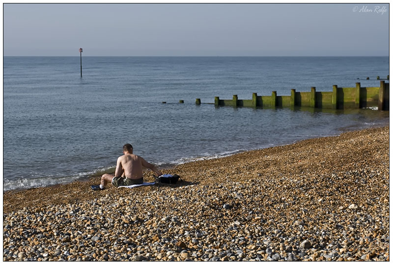The Beach Boy