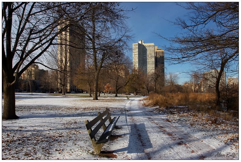 Lincoln Park in winter