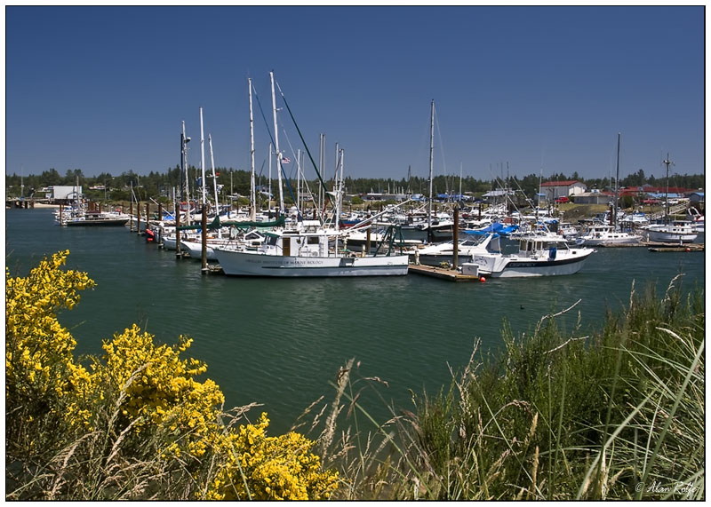Bandon Harbour
