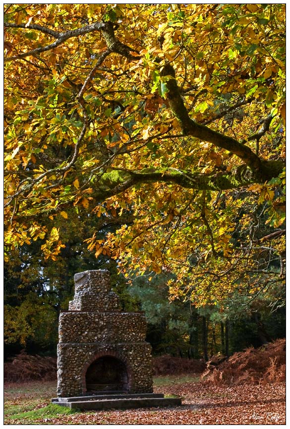 Portuguese Fireplace