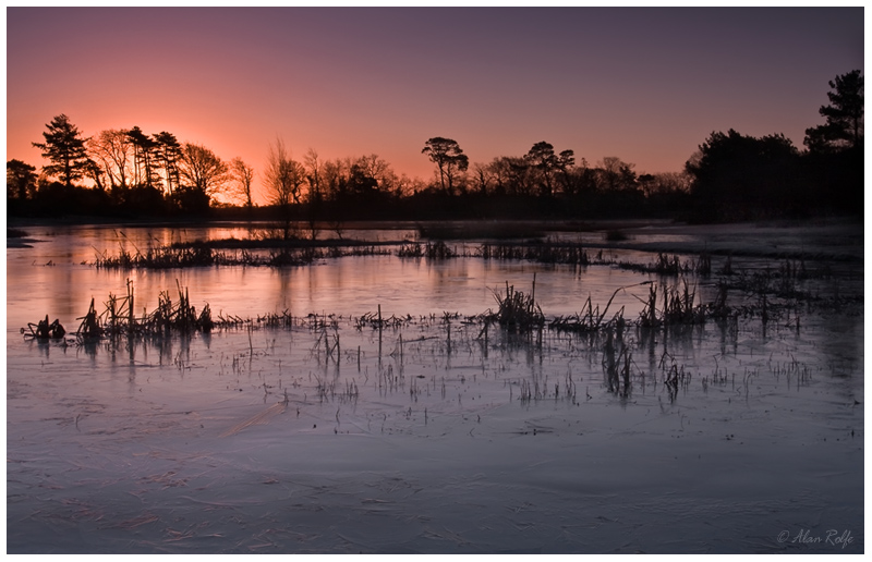 Early morning at Hatchett Pond