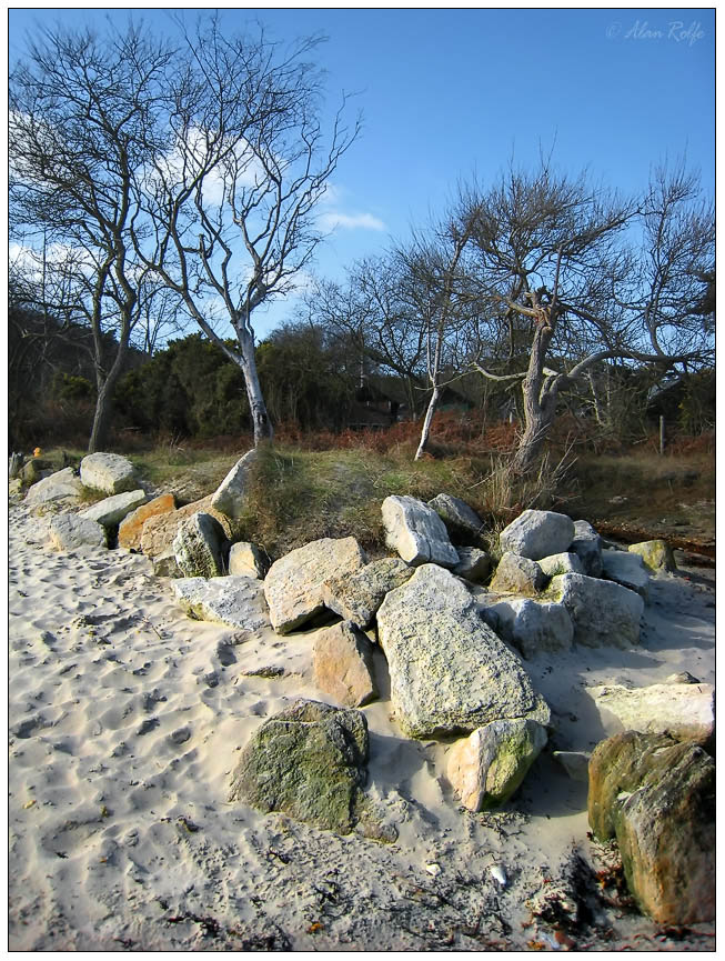 Studland