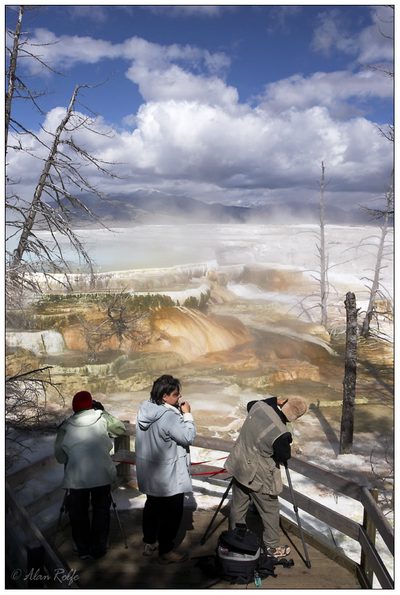Mammoth Springs