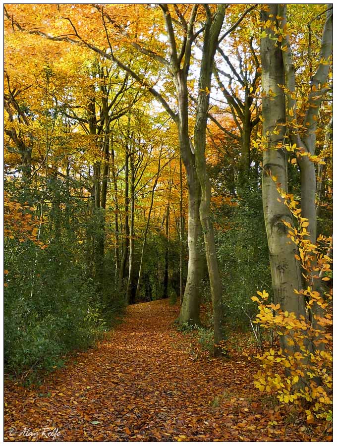Autumn