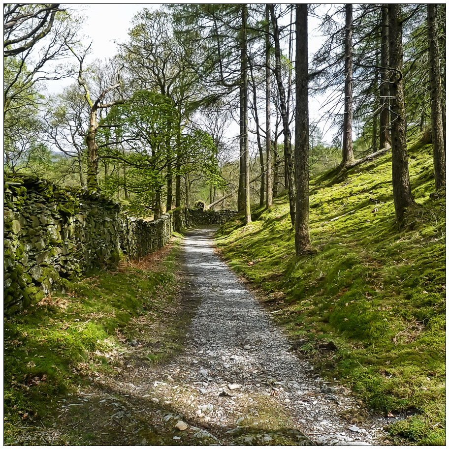 A Lakeland walk