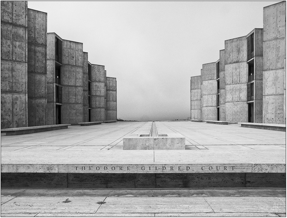 Salk Institute