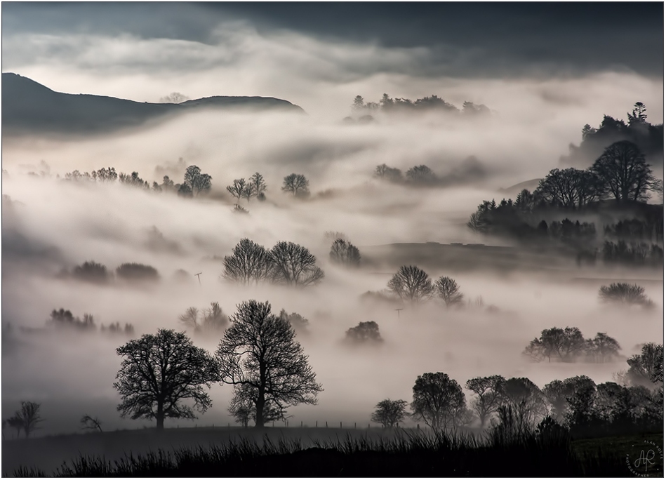 Lakeland mist