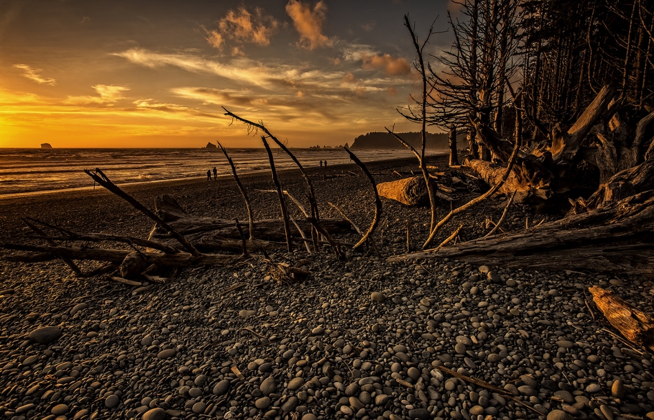 Rialto Beach