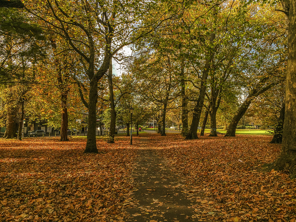 Autumn in the city