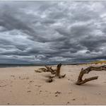 Nairn beach