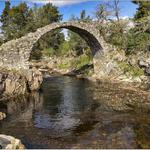 The ancient bridge, Carrbridge
