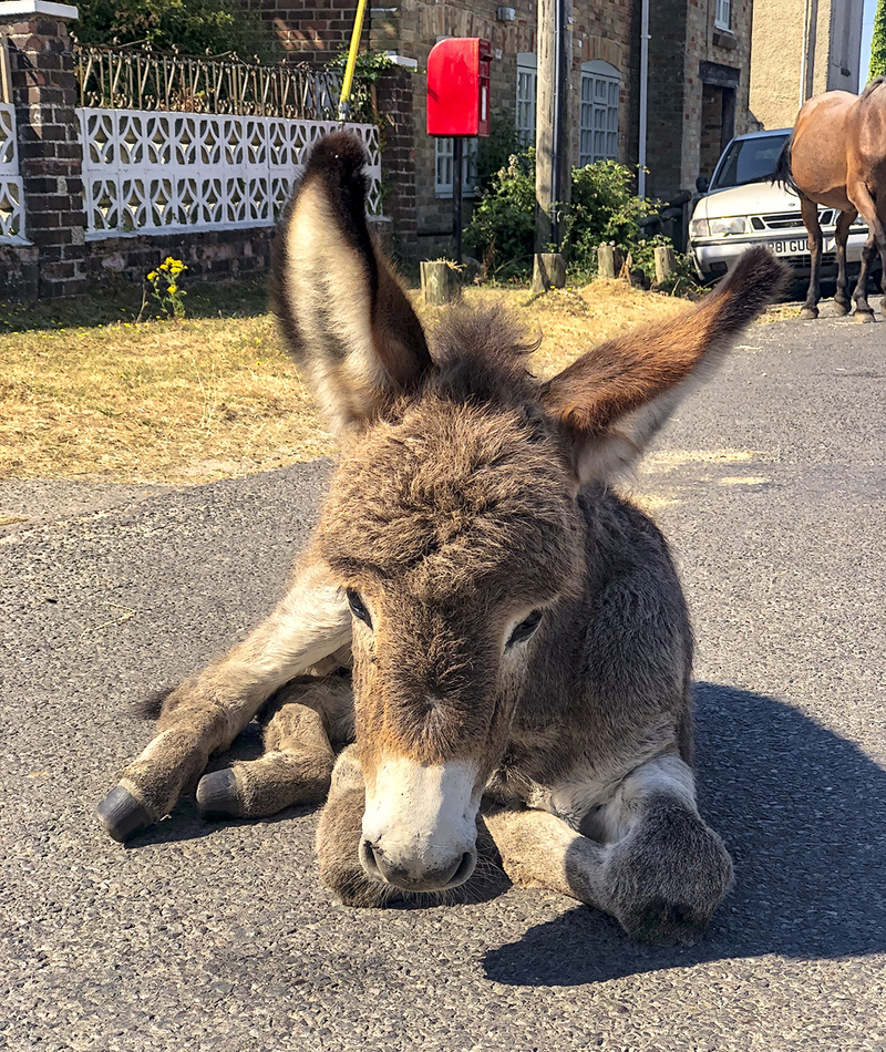 Enjoying the sun