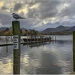 Derwentwater