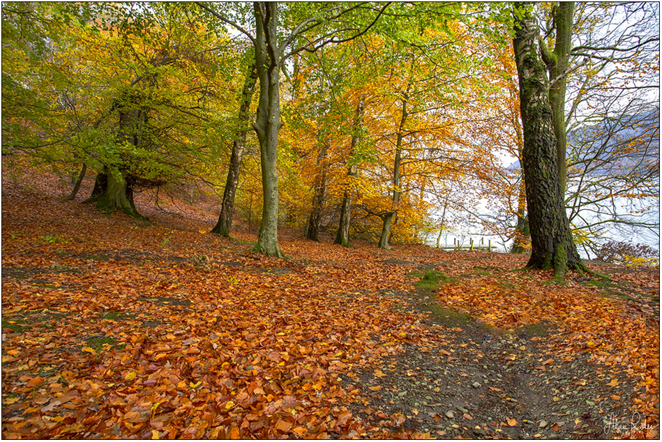 Autumn in the Lakes
