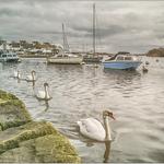 Christchurch Quay