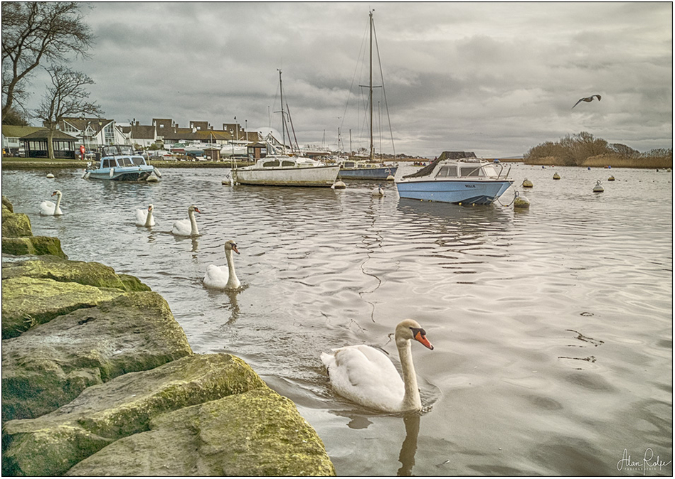 Christchurch Quay