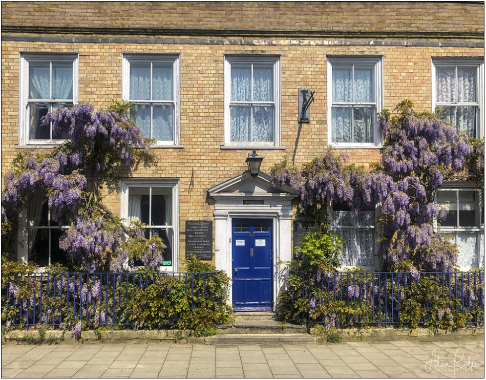 Wisteria House