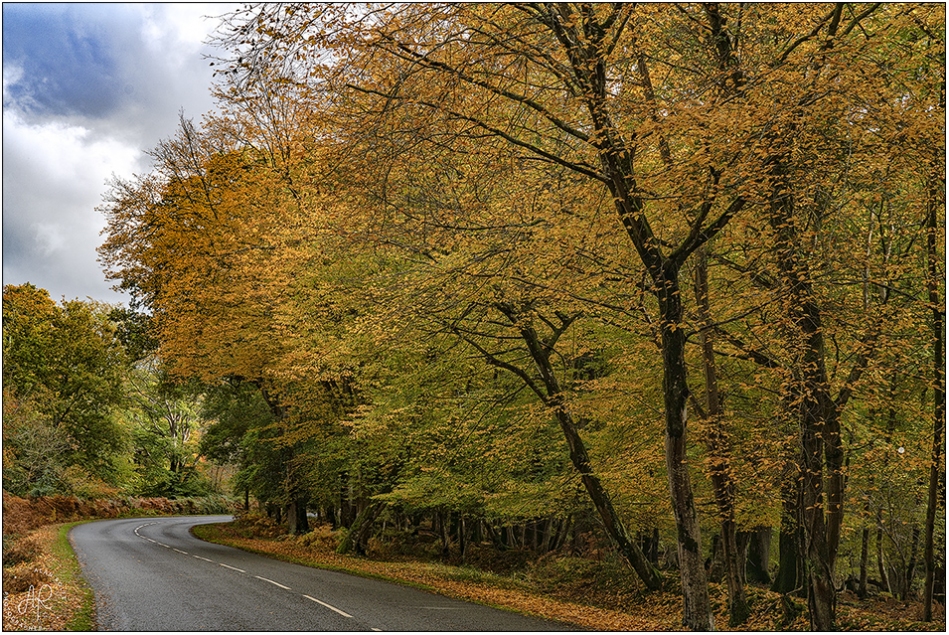 Autumn colours