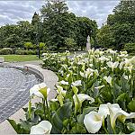 Andrews Park