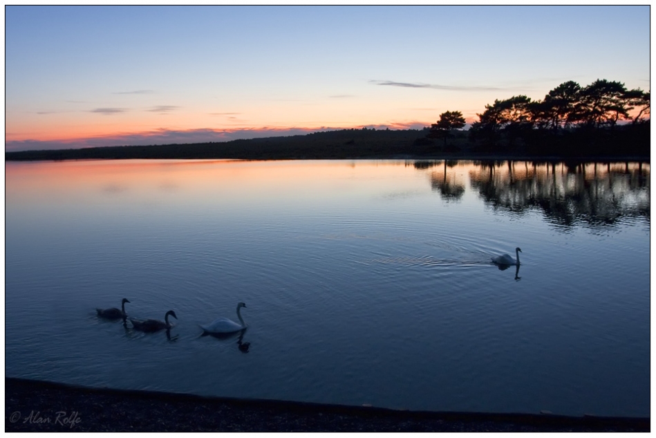 Hatchett Pond