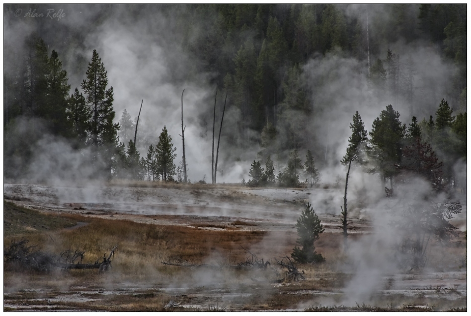 A steamy morning