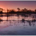 Hatchett Pond