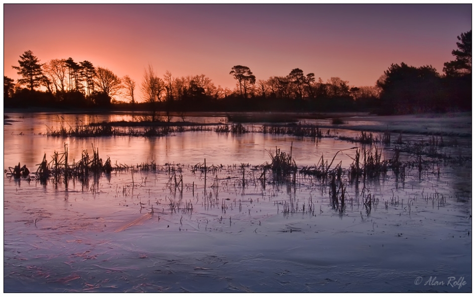 Hatchett Pond