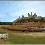 Dunstanburgh Castle