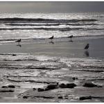 Morning on the beach