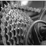 Cogs