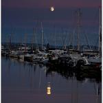 Moonlight over the marina