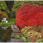 The gardens at Chartwell