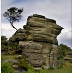 Brimham Rocks