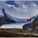 Athabasca Glacier