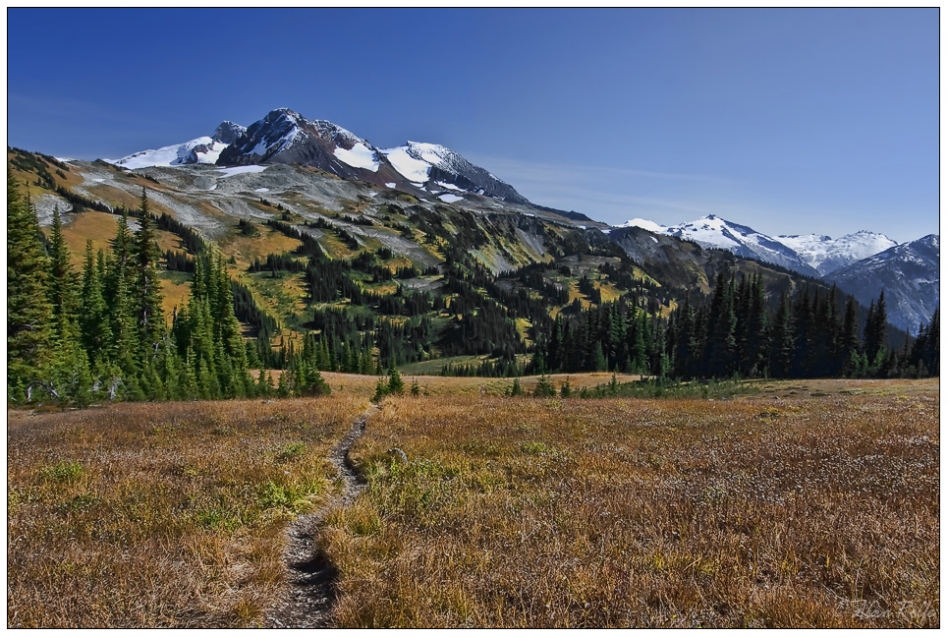 Heading towards Singing Pass