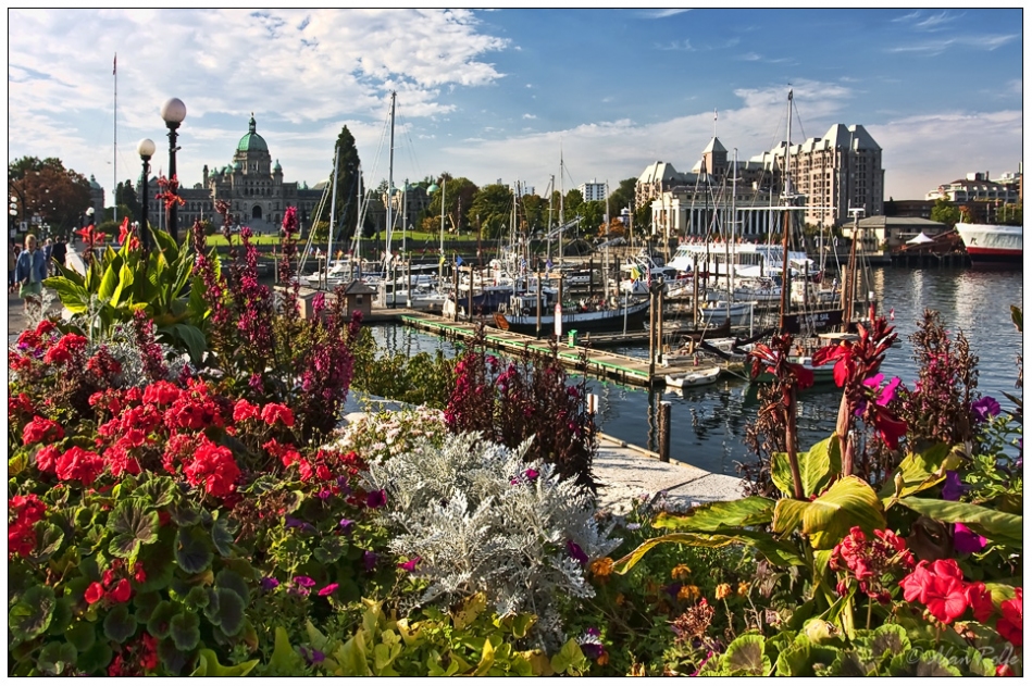 Victoria Harbour Front