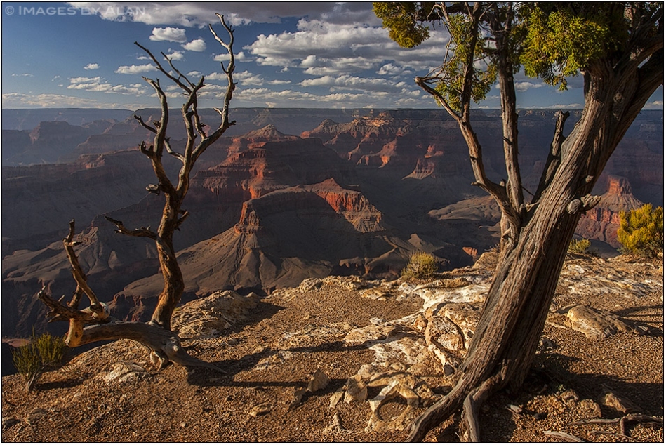 An afternoon at the Canyon