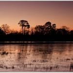 Winter at the pond - yet again