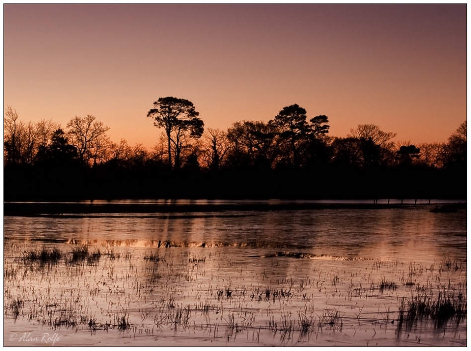 Winter at the pond - yet again