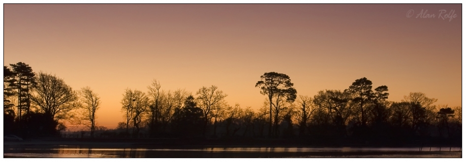 Winter at the pond