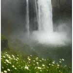 Snoqualmie Falls