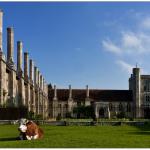 Almshouses