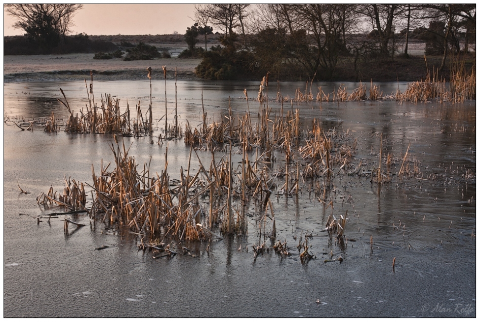 Winter at the Pond