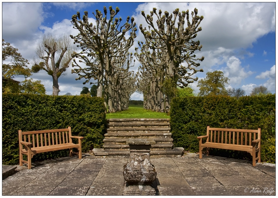 Lime Avenue