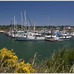 Bandon Harbour