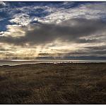 On the headland